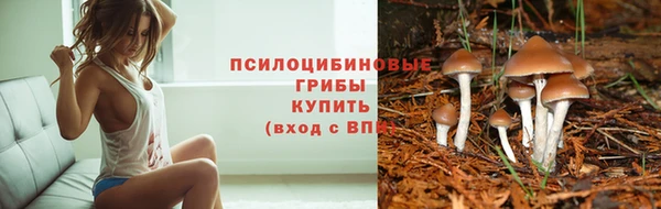 мет Богородицк