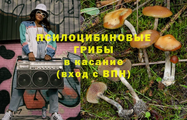 не бодяженный Богданович