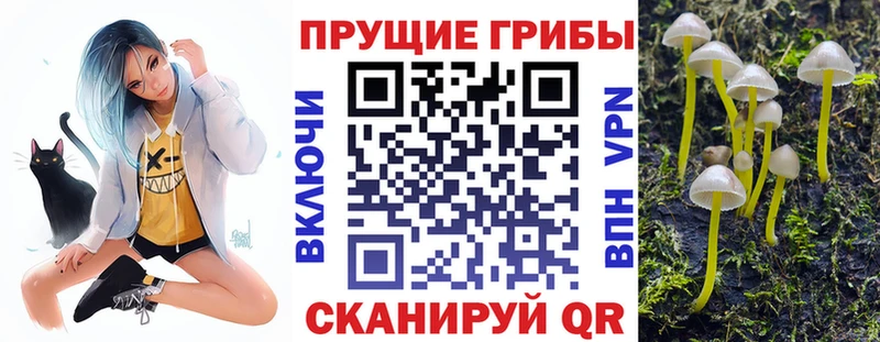 Галлюциногенные грибы Cubensis  Альметьевск 